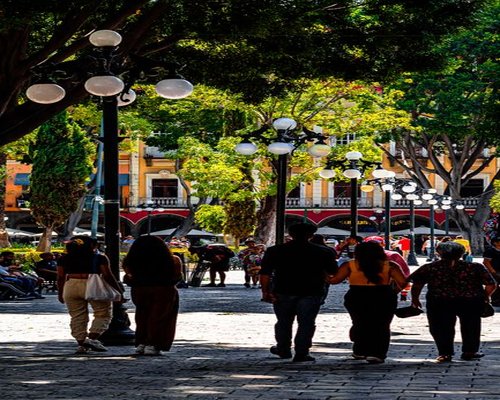 calm walk through a Mexican city park
